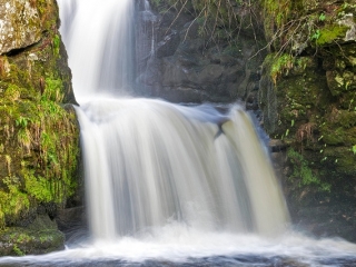Linn Falls Linn Falls