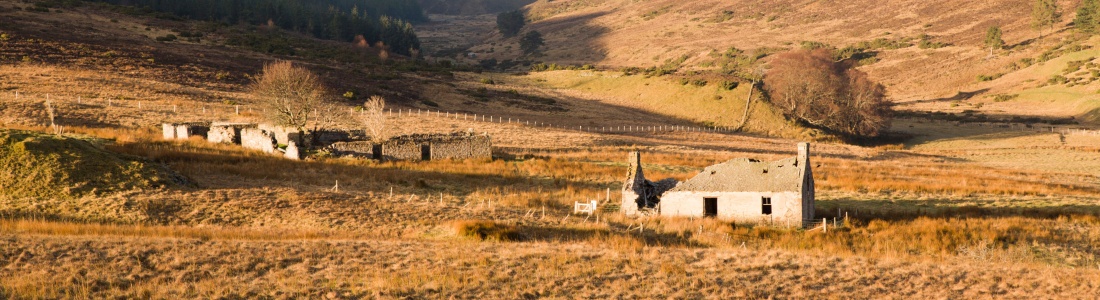 Wild History and Whisky Tours