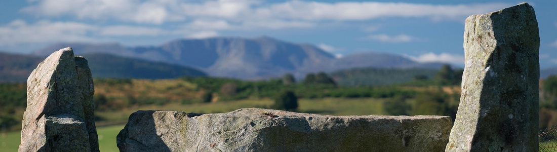 Stories in Stone