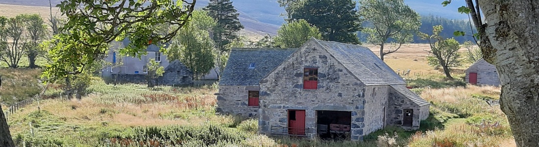 Wild History and Whisky Tours